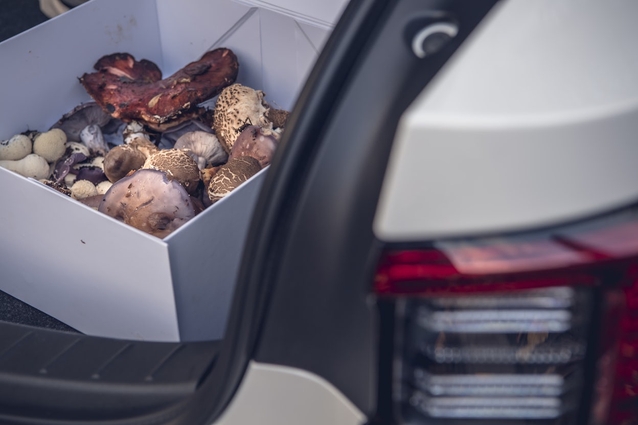 A close-up of a Polestar 2 with a trunk full of mushrooms.